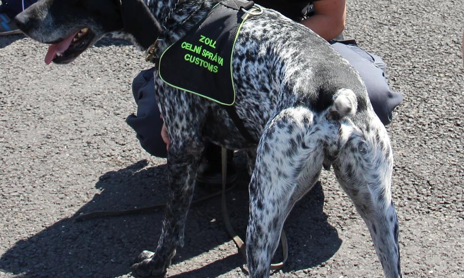 2016-8-25-1140foto 1.jpg